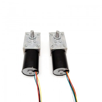 15 szt. 12V/24V Silnik z przekładnią ślimakową DC z magnesami trwałymi, 7W/10,9W, wał 6 mm, przekładnia ślimakowa 81~621