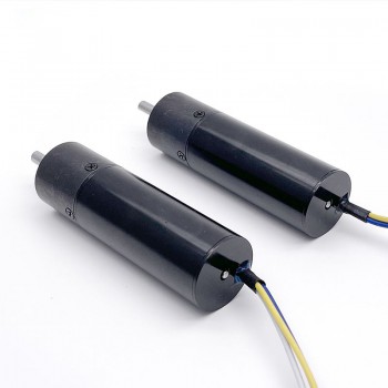10 szt. Silnik bldc z przekładnia planetarna Φ20mm 12V/24V GMP20-TEC2047 0,3 N.m